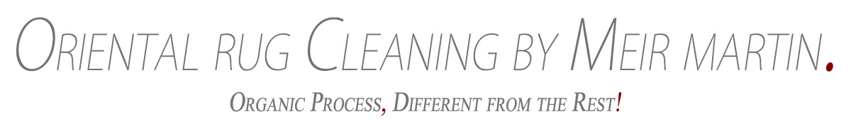 Oriental rug cleaning by Meir martin