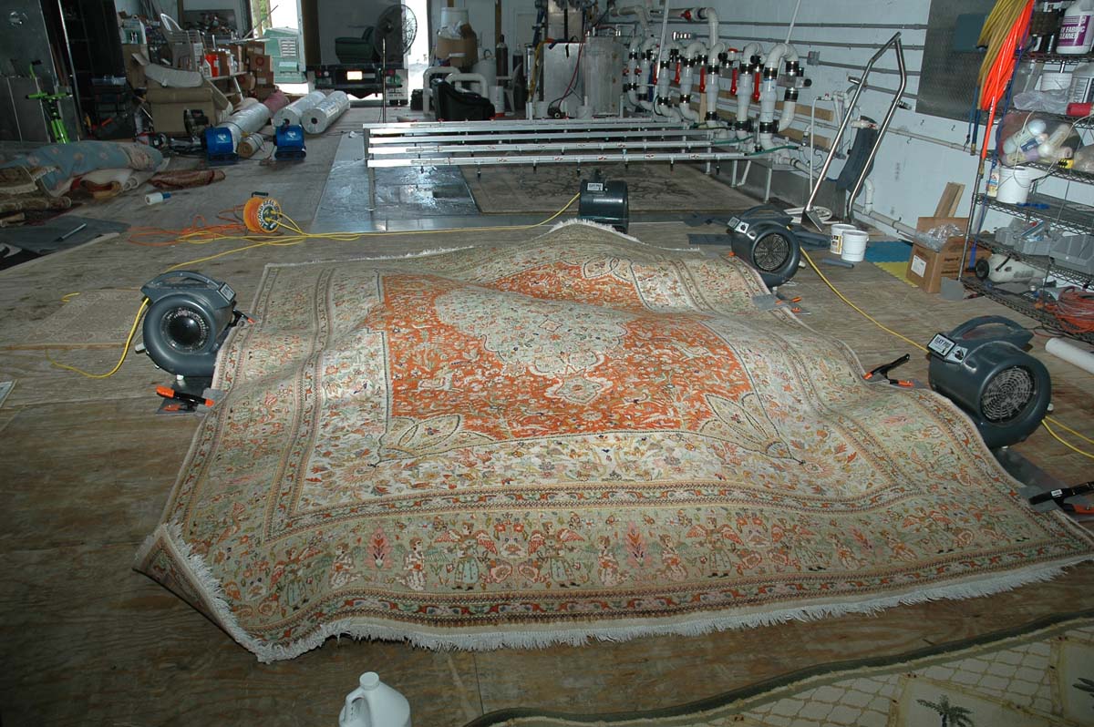 12Feet X 18Feet Hand Made Oriental Rug Drying on Wood Floor . PetPeePee Never Dry Oriental rug To Dry, By hanging Oriental Rug swat the color Will Run.