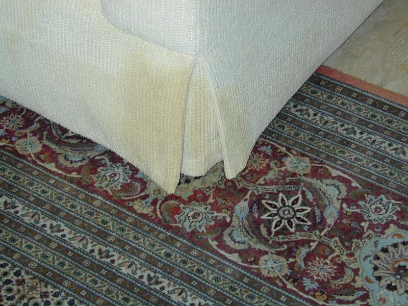 mail Dog sofa and oriental rug  