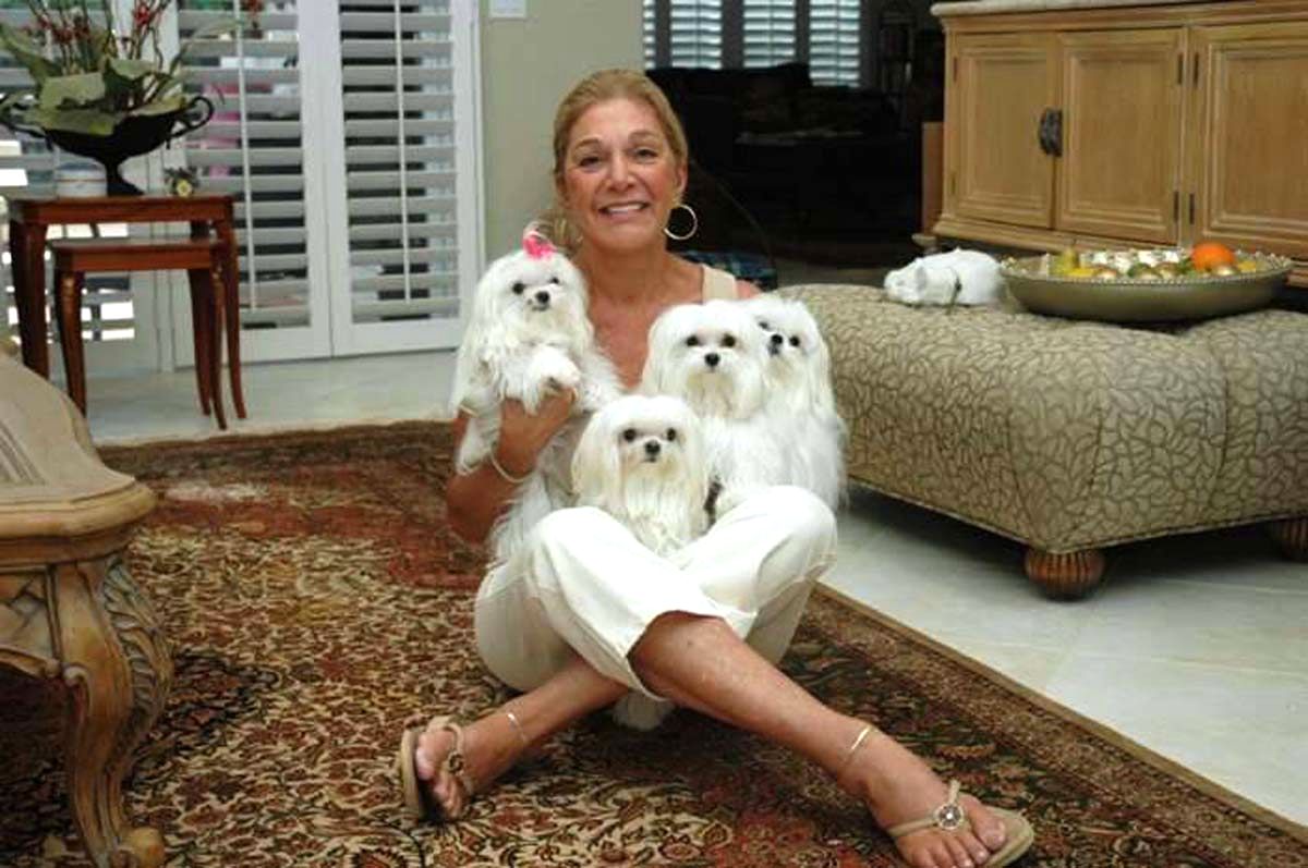 I Have 4 dogs that have accident n Oriental Rugs